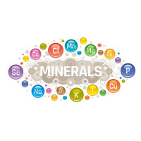  مكملات غذائيه